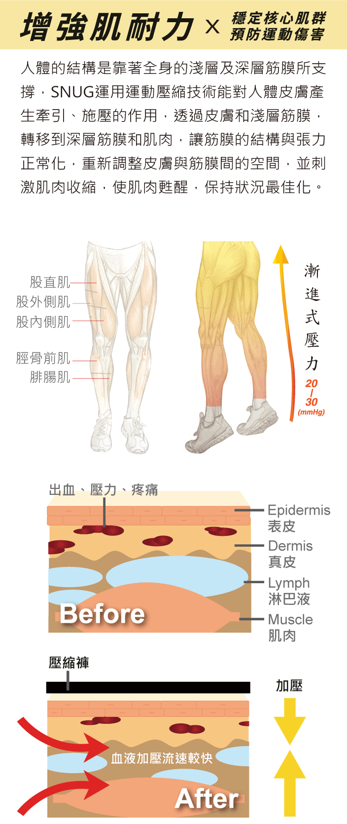 增強肌耐力、穩定核心肌群、預防運動傷害