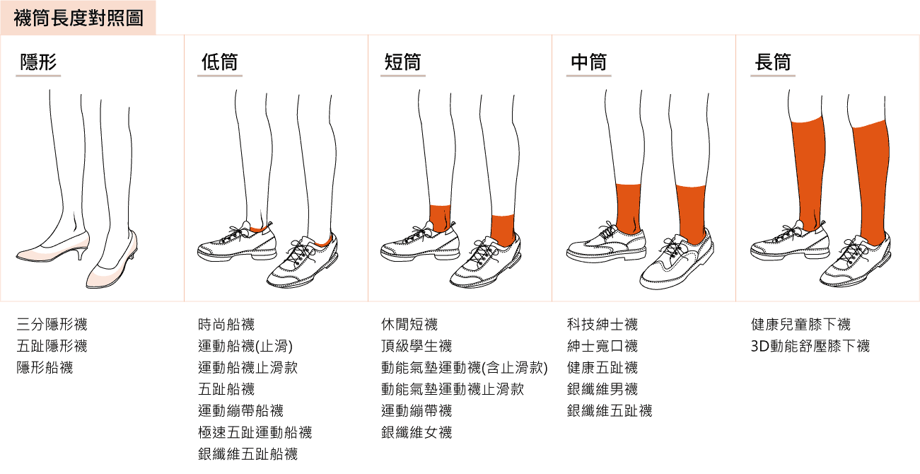 襪筒長度對照圖