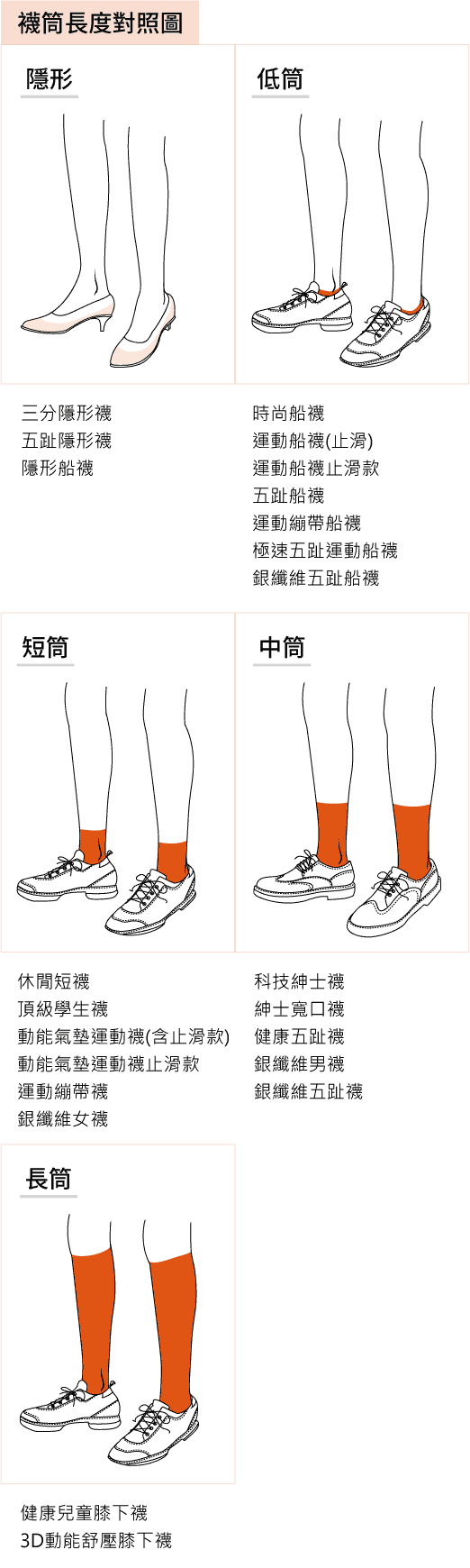 襪筒長度對照圖